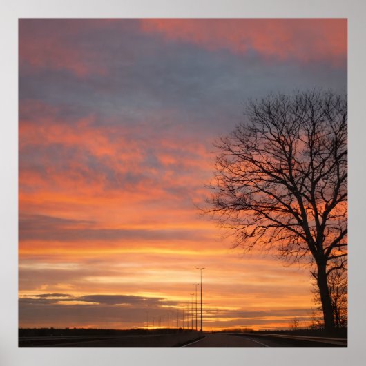 Bolso Poster (Voorkant)