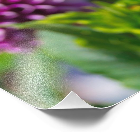 bolvormig foto afdruk (Hoek)