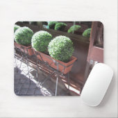 Bolvormige Buxus Muismat (Met muis)