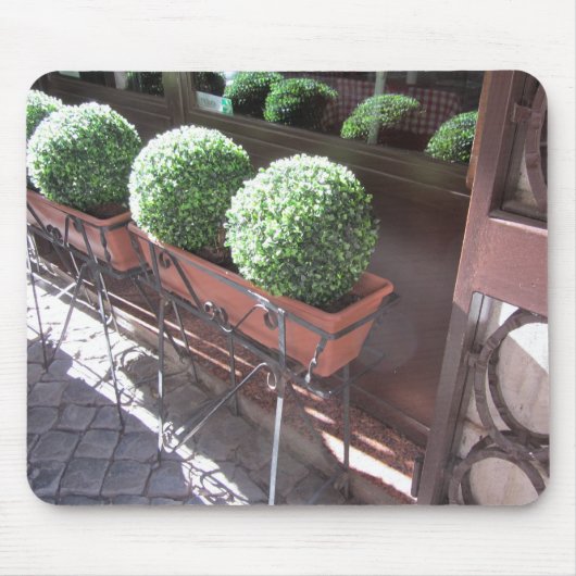 Bolvormige Buxus Muismat (Voorkant)
