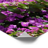 Bom Jesus do Monte-kerk Poster (Hoek)