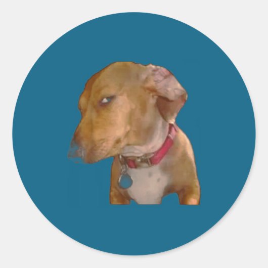 Bombastic Side Eye Funny Dog  Ronde Sticker (Voorkant)