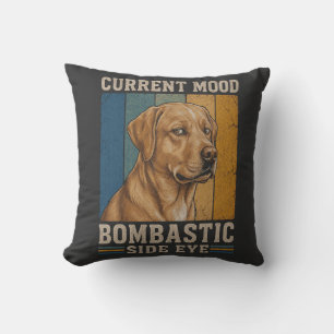 Bombastisch Zijdelingse Blik Labrador Retro Grappi Kussen