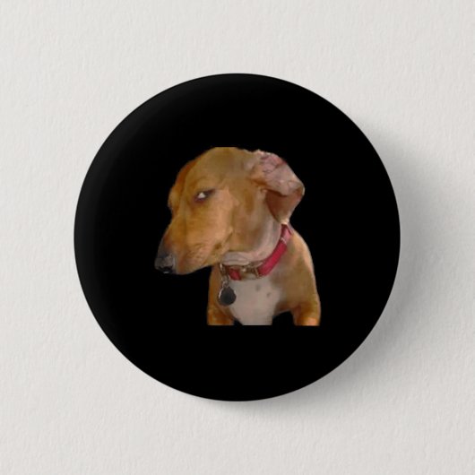 Bombastische Zijdelingse Blik Grappige Hond Ronde Button 5,7 Cm (Voorkant)