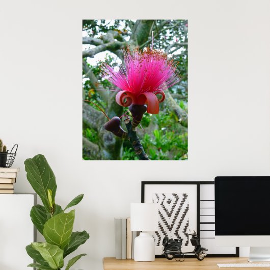 Bombax Blossom Poster (Thuiskantoor)