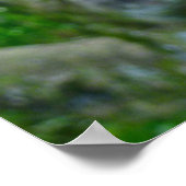 Bombax Blossom Poster (Hoek)