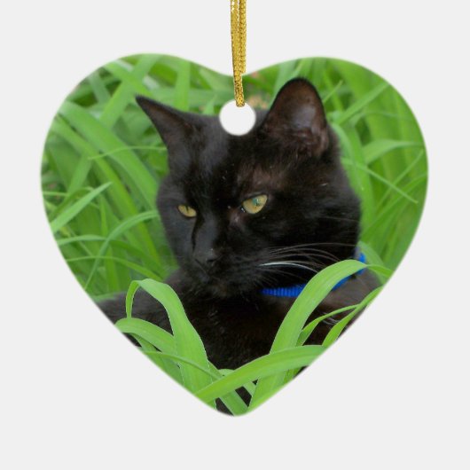 Bombay Black Cat Birthday Ornament (Voorkant)