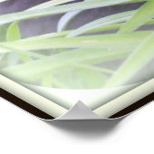 Bombay Black Cat Print (Hoek)