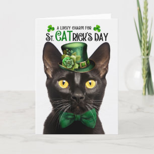 Bombay Black Cat St. CATrick's Day Lucky Charm Feestdagen Kaart