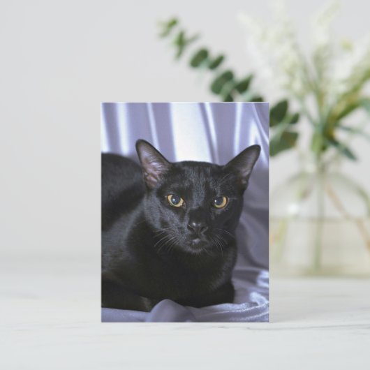 Bombay Briefkaart (Staand voorkant)