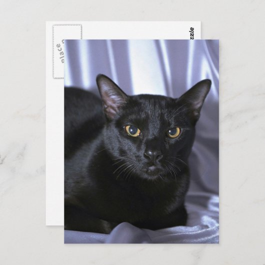 Bombay Briefkaart (Voorkant / Achterkant)