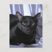 Bombay Briefkaart (Voorkant)