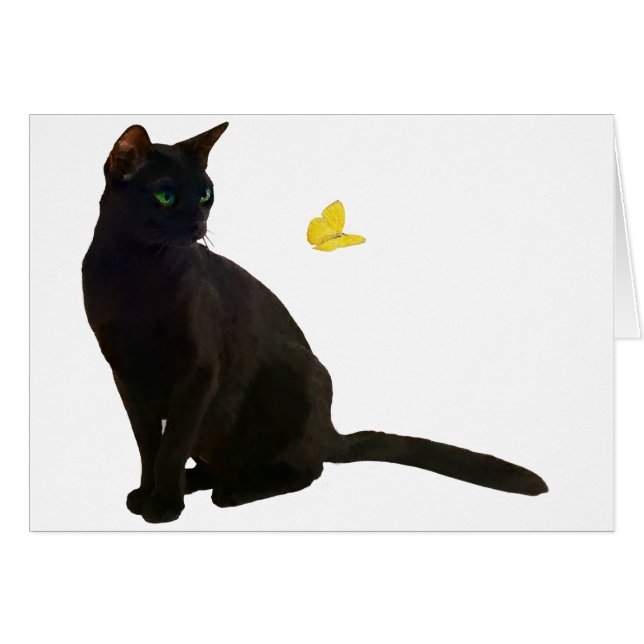 Bombay Cat & Butterfly (Voorkant Horizontaal)