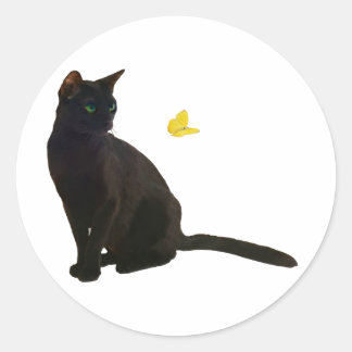Bombay Cat & Butterfly Ronde Sticker