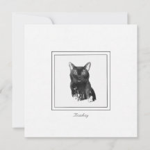 Bombay Cat Elegant Chalk-tekentaart