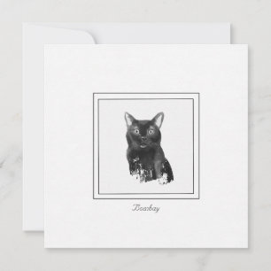 Bombay Cat Elegant Chalk-tekentaart Notitiekaartje
