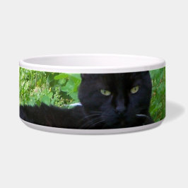 Bombay Cat Lying in Clover Food Bowl Voerbakje