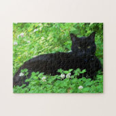 Bombay Cat Lying in Green Clover Puzzle Legpuzzel (Horizontaal)