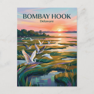Bombay Hook National Wildlife Refuge VS Briefkaart