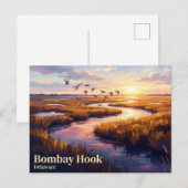Bombay Hook National Wildlife Refuge VS Briefkaart (Voorkant / Achterkant)