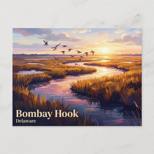 Bombay Hook National Wildlife Refuge VS Briefkaart (Voorkant)