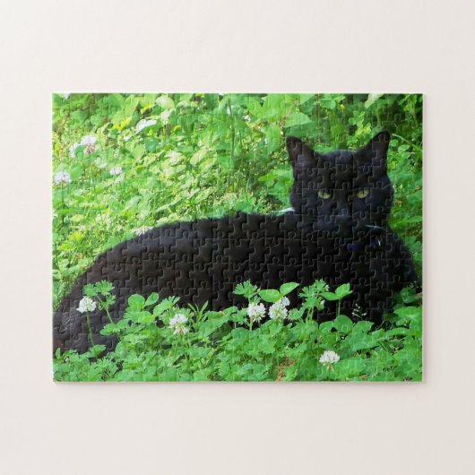 Bombay Kat Liggend in Groene Klaver Puzzel (Horizontaal)