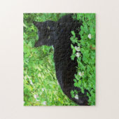 Bombay Kat Liggend in Groene Klaver Puzzel (Verticaal)