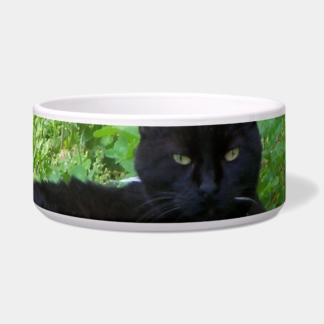 Bombay Kat Liggend in Klaver Voedsel Kom (Voorkant)