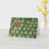 Bombay watermeloen kaart (Gele Bloem)