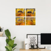 Bombyliidae Poster (Thuiskantoor)