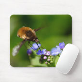 Bombylius major muismat (Met muis)