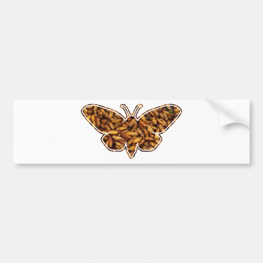 Bombyx Mori Silk Moth Life Cycle Silhouette Bumpersticker (Voorkant)