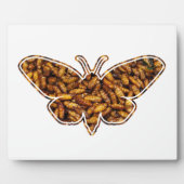 Bombyx Mori Silk Moth Life Cycle Silhouette Fotoplaat (Voorkant)