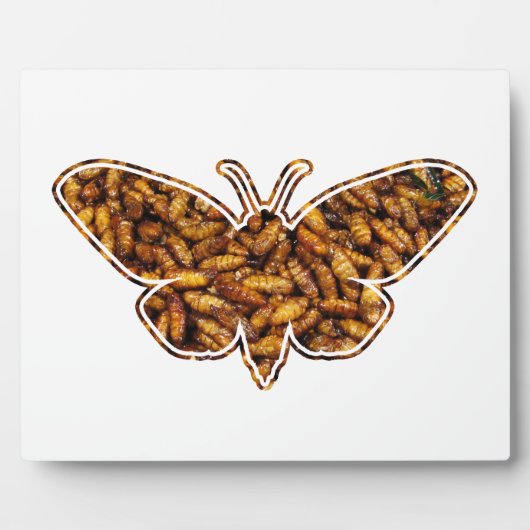 Bombyx Mori Silk Moth Life Cycle Silhouette Fotoplaat (Voorkant)