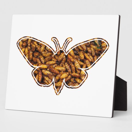 Bombyx Mori Silk Moth Life Cycle Silhouette Fotoplaat (Zijkant)