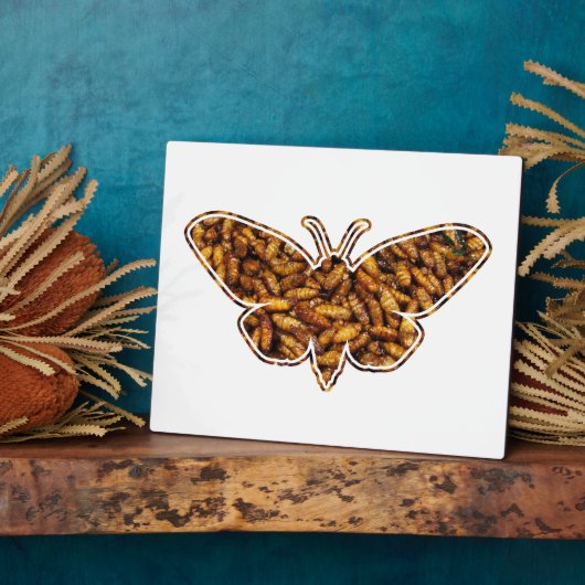 Bombyx Mori Silk Moth Life Cycle Silhouette Fotoplaat (Zijkant)