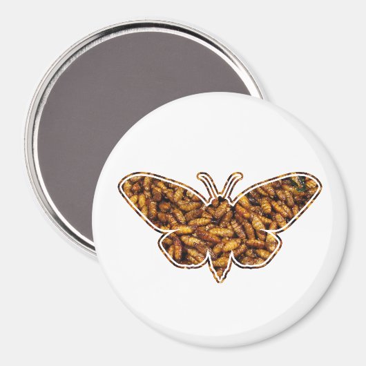 Bombyx Mori Silk Moth Life Cycle Silhouette Magneet (Voorkant / Achterkant)