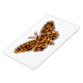 Bombyx Mori Silk Moth Life Cycle Silhouette Magneet (Linkerzijde)