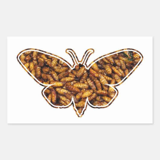 Bombyx Mori Silk Moth Life Cycle Silhouette Rechthoekige Sticker (Voorkant)