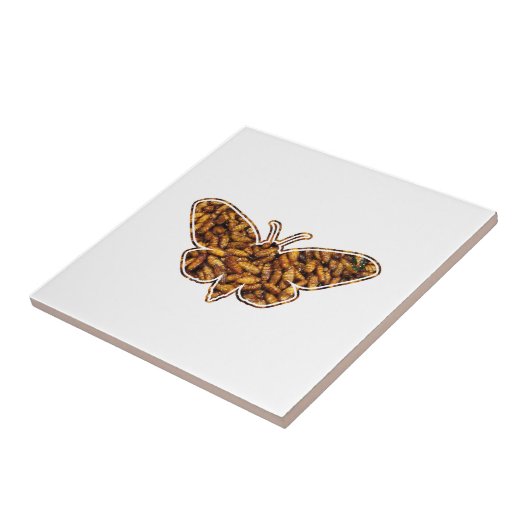 Bombyx Mori Silk Moth Life Cycle Silhouette Tegeltje (Zijkant)