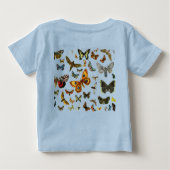 Bombyx quercus vrouw (Achterkant)