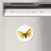 Bombyx quercus vrouw magneet (Insitu (Vaatwasser))