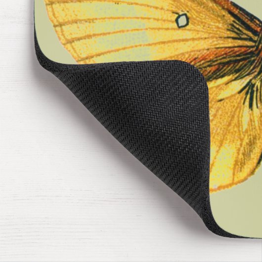 Bombyx quercus vrouw muismat (Hoek)