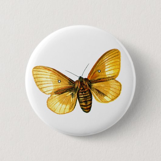 Bombyx quercus vrouw ronde button 5,7 cm (Voorkant)
