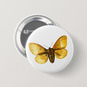 Bombyx quercus vrouw ronde button 5,7 cm (Voorkant /achterkant)