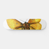 Bombyx quercus vrouw skateboard (Horizontaal)
