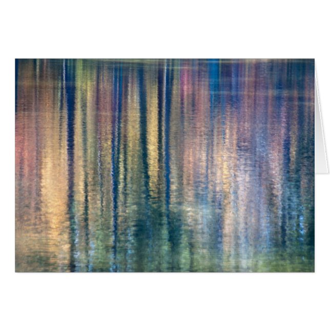 Bomen (Voorkant Horizontaal)