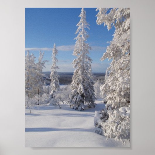 Bomen 1 poster (Voorkant)