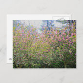 Bomen #3 briefkaart (Voorkant / Achterkant)