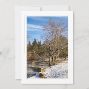 Bomen aan het meer - 5x7 Flat Holiday Kaart